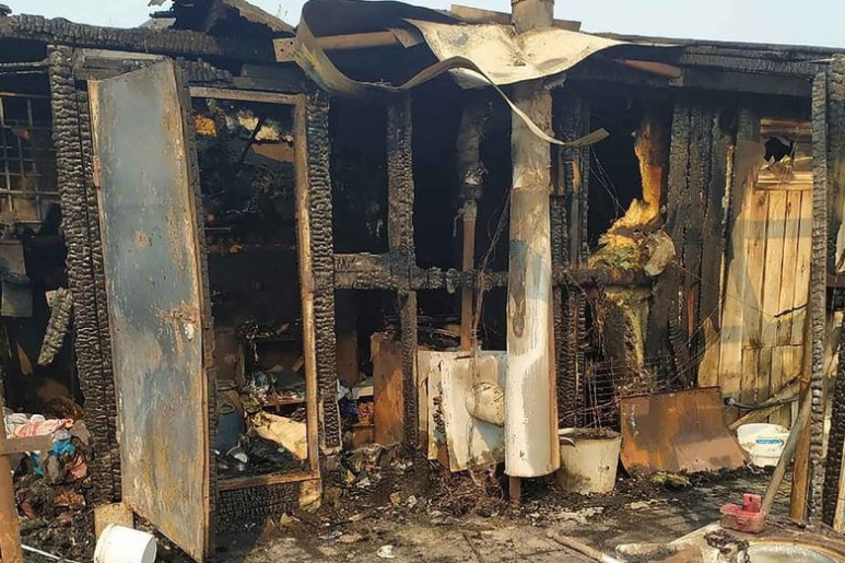 Más de 30 perros se quemaron vivos después de un “presunto incendio provocado” en un refugio de animales