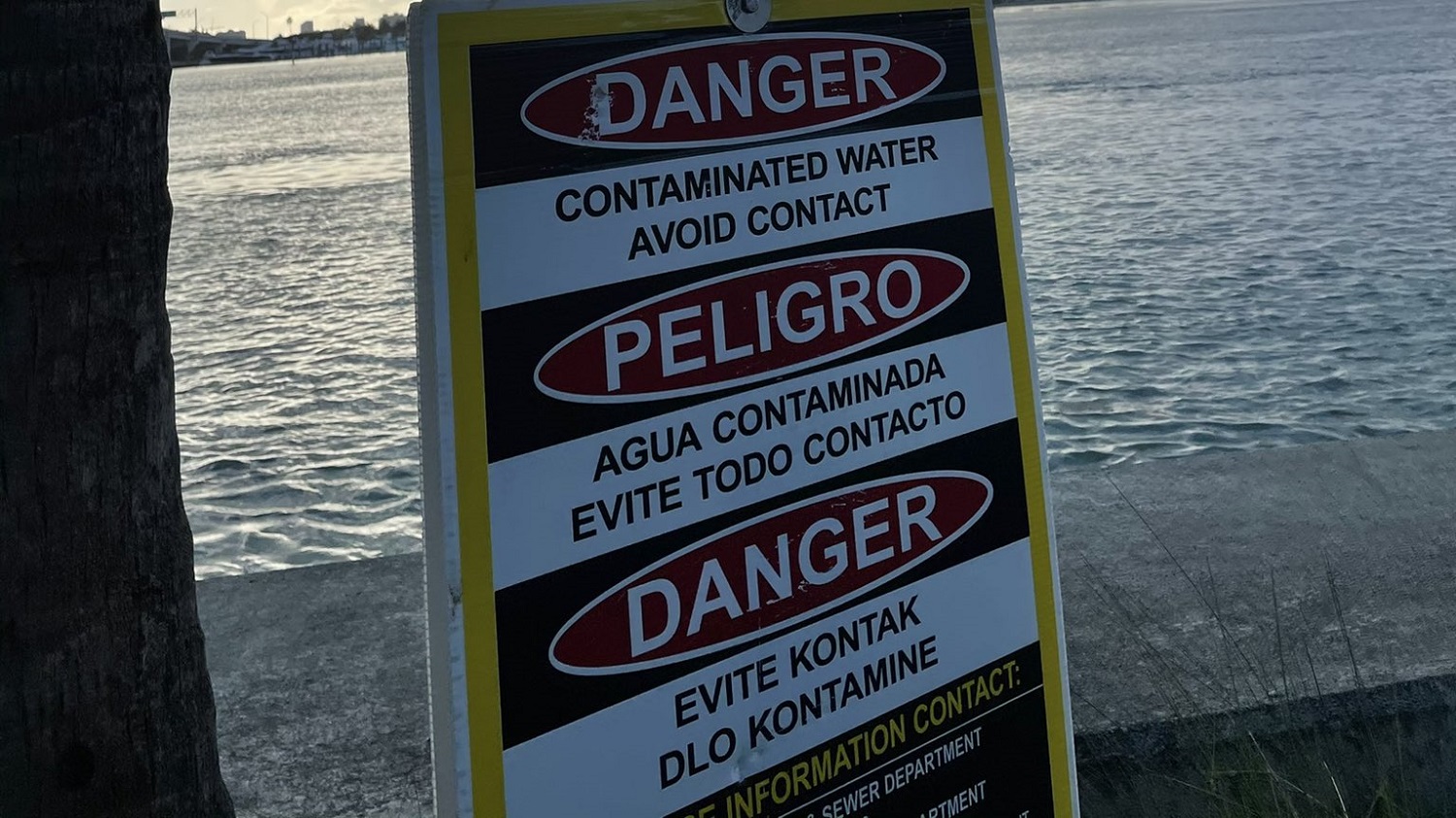 Prohíben nadar en área de la bahía de Miami por derrame de aguas residuales (fotos)