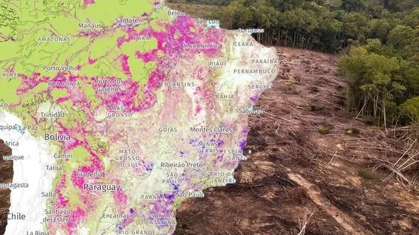 Amazon Rainforest size comparison – staggering destruction of Earth’s lungs MAPPED