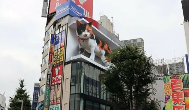 Un gato gigante en 3D se adueña de las calles de Tokio (Video)