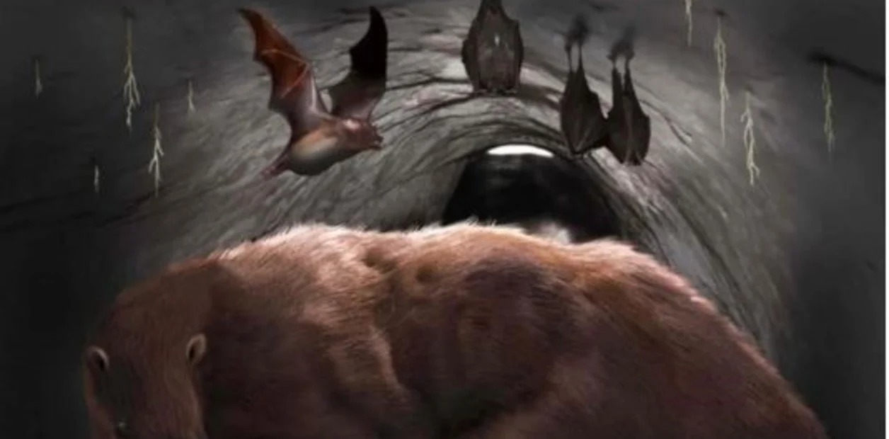 Hallan restos de un murciélago vampiro gigante de 100 mil años en una cueva argentina