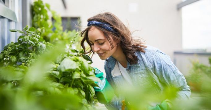 Vivir en un entorno “verde” retrasa el envejecimiento y prolonga la buena salud