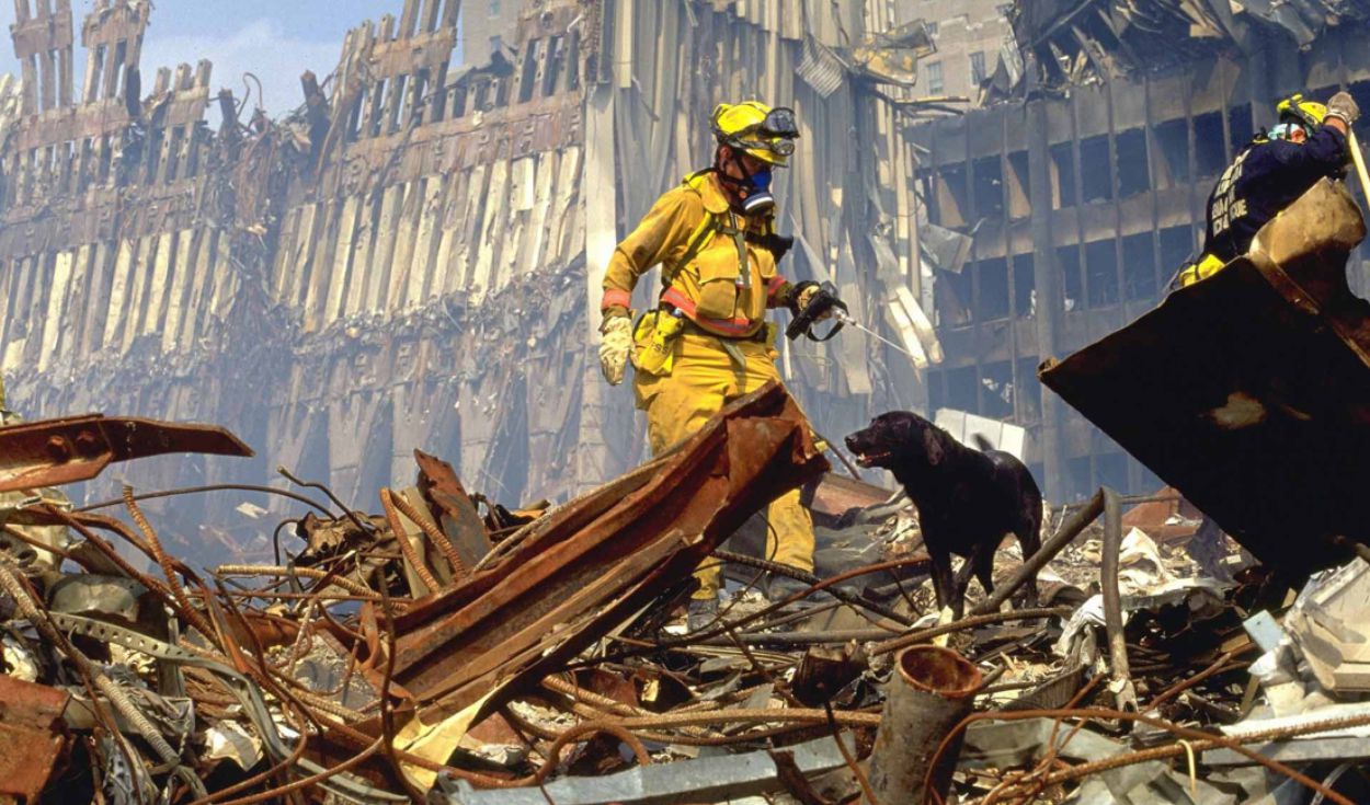 Los otros héroes del #11Sep: Perros que trabajaron en labores de rescate en el World Trade Center