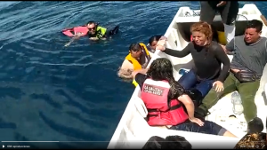 Rescatan a 21 migrantes de barco que naufragó cuando iba de Colombia a Panamá (Video)