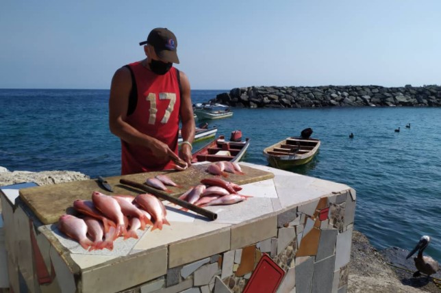 De infarto precios de mariscos y pescados en La Guaira