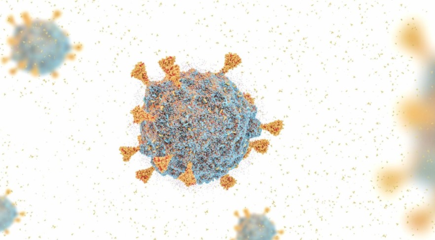 Qué es la epistasis y cómo ayuda a entender lo peligrosa que es la variante ómicron del coronavirus