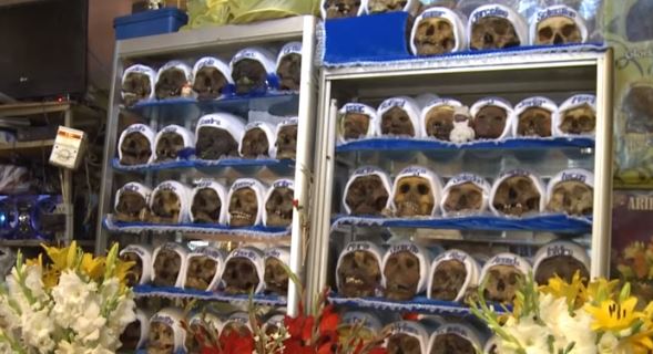 Imágenes sensibles: Coleccionan calaveras para hacerse millonarios en Bolivia