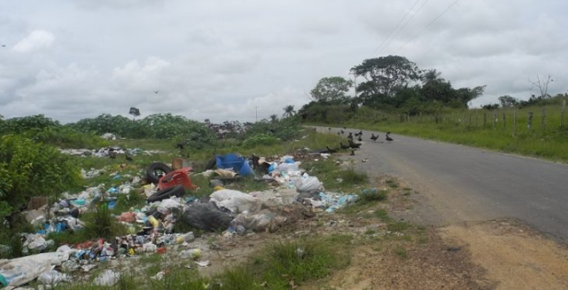 Desidia y abandono en las calles marcan el inicio del año en Ciudad Guayana