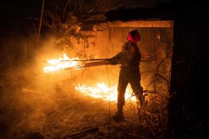 Alertan que sequía dispara riesgo de devastadores incendios forestales en Venezuela
