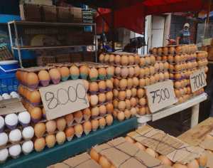 Venezuela, donde debes gastar cuatro sueldos mínimos para comprar un cartón de huevos