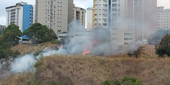 Reportan un incendio forestal en Lomas del Ávila este #24Feb (Videos)