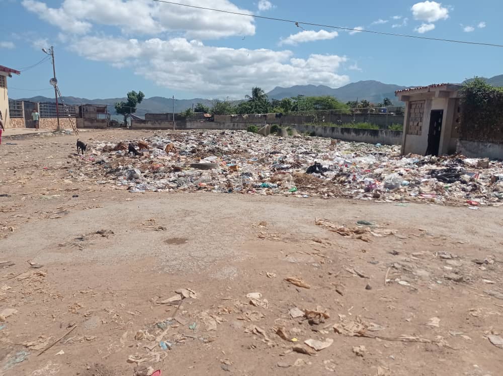 Entre basura y zamuros: así hacen sus compras los usuarios del mercado de Santa Fe en Sucre (FOTOS)