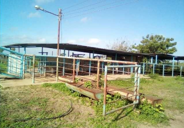 Masacre en Zulia: Cuatro trabajadores acribillados por el hampa en la Finca San Tomé