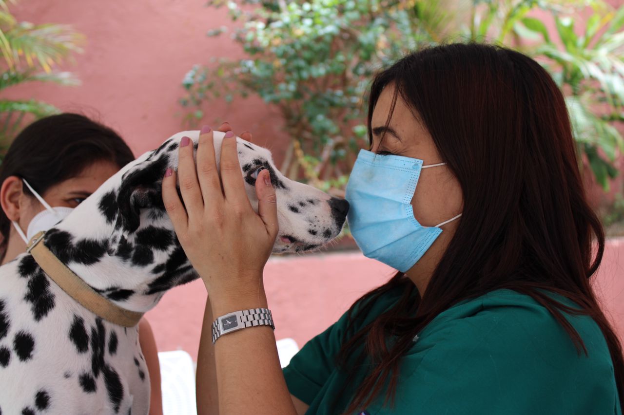 Al menos 30 jornadas de atención animal y ciudadana se llevarán a cabo en Baruta en los próximos meses