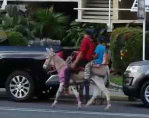 A falta de gasolina, buenos son los burros en Barinas (VIDEO)