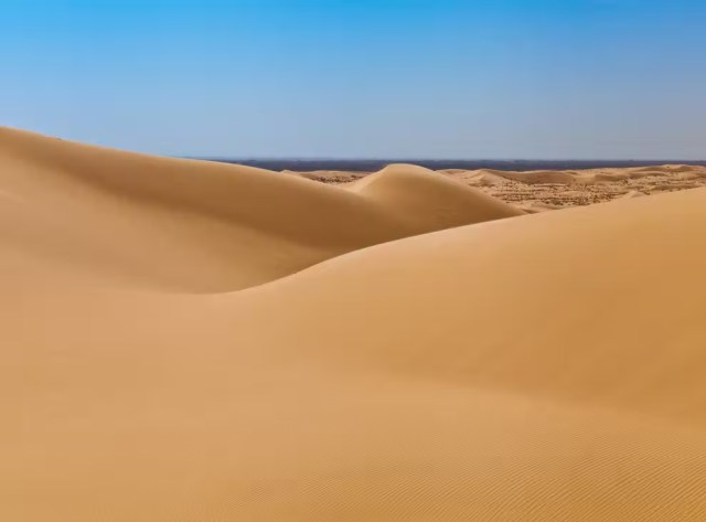 dunas