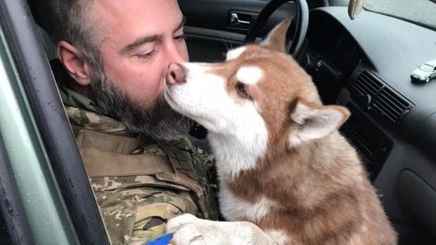 EN FOTOS: soldado ucraniano rescató a una perrita abandonada tras los ataques rusos en Bucha