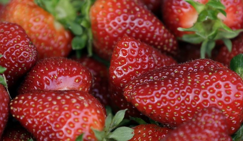 Investigan brote de hepatitis A posiblemente relacionado con fresas orgánicas frescas en EEUU (Video)