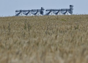 Rusia pide a la ONU intervenir en negociaciones sobre granos ucranianos