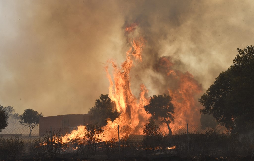 Ola de calor no da tregua en España: incendios forestales acabaron con al menos 100 mil hectáreas en solo dos semanas