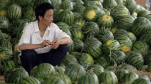 Promotores inmobiliarios en China aceptan que agricultores paguen por viviendas con patillas