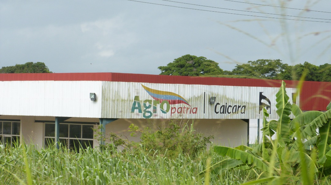 Complejo Agroindustrial de Caicara, otro fracaso de la “soberanía alimentaria” del chavismo