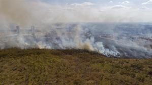 Incendios en Brasil han destruido un área del tamaño de Bélgica este 2022