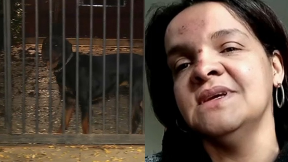 Niña bajo el cuidado de una venezolana fue atacada por perros Rottweiler en Chile
