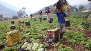 UNT exigió a Maduro apoyar primero a productores nacionales antes de comprometer tierras a la inversión extranjera