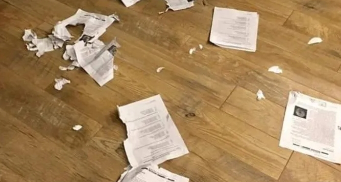 El perro de verdad se comió la tarea: la “excusa” de una maestra que se volvió VIRAL