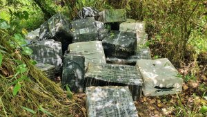 Militares incautan 2.260 kilos de cocaína en estado fronterizo de Venezuela