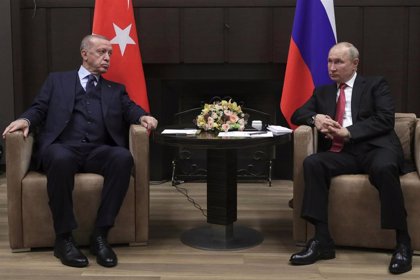 Erdogan propone a Putin una mediación de Turquía en la planta nuclear de Zaporiyia