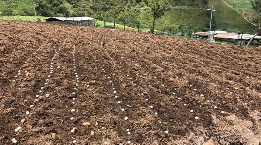 La mayoría de la maquinaria agrícola venezolana está obsoleta