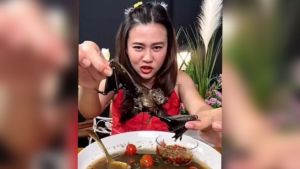 “Mastiqué sus dientes”: Detuvieron a Youtuber por comerse un murciélago en sopa (VIDEO)