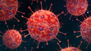 OMS pasa a considerar como “previamente en circulación” las variantes alfa y ómicron del coronavirus