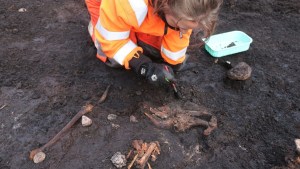 Hallan en Dinamarca los restos de un posible sacrificio humano de cinco mil años de antigüedad