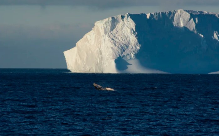 Un iceberg 15 veces más grande que París se desprendió de la Antártida