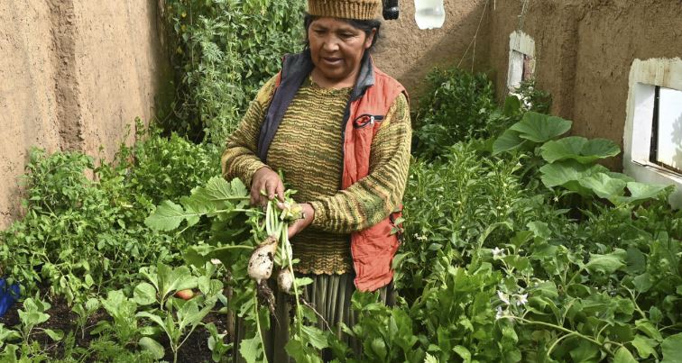 Mujeres en Bolivia combaten la pobreza con huertos domésticos orgánicos