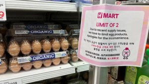 El precio de los huevos en EEUU es 70 % más caro que hace un año