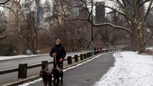 Tormenta en Nueva York: La ciudad se prepara para la mayor nevada de la temporada