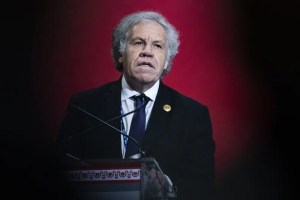 Probe faults OAS boss for work romance, finds no misconduct