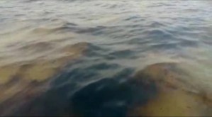 New oil spill spreads through the Golfete de Coro and PDVSA ignores the cry for help of fishermen
