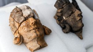 ¿Encontraron la Atlántida? El impresionante hallazgo de reliquias de más de dos mil 500 años