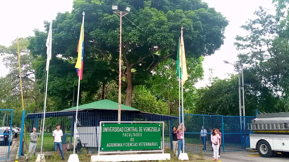 UCV núcleo Maracay resguarda los votos y pide que se reconozca legalidad de elecciones en ese campus