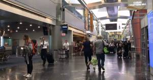 Largas colas: Retrasos y cancelaciones afectan a viajeros en el sur de Florida (VIDEO)