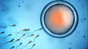 Nació primer bebé concebido con nuevo método de fertilidad que activa espermatozoides