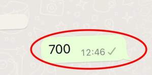 Presta atención: qué hacer si recibes un mensaje de WhatsApp que diga “700”