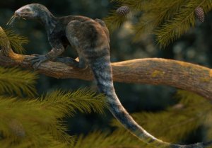 Fósil confirmó que los dinosaurios también tuvieron precursores bípedos