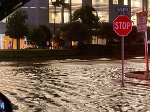 Inundaciones por Idalia: Calles de la Bahía de Tampa bajo el agua (FOTOS)