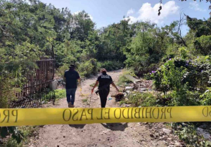 Hallaron ocho cadáveres enterrados en reserva ecológica de Acapulco